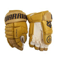 VGHC x Warrior Alpha DX Pro Glove